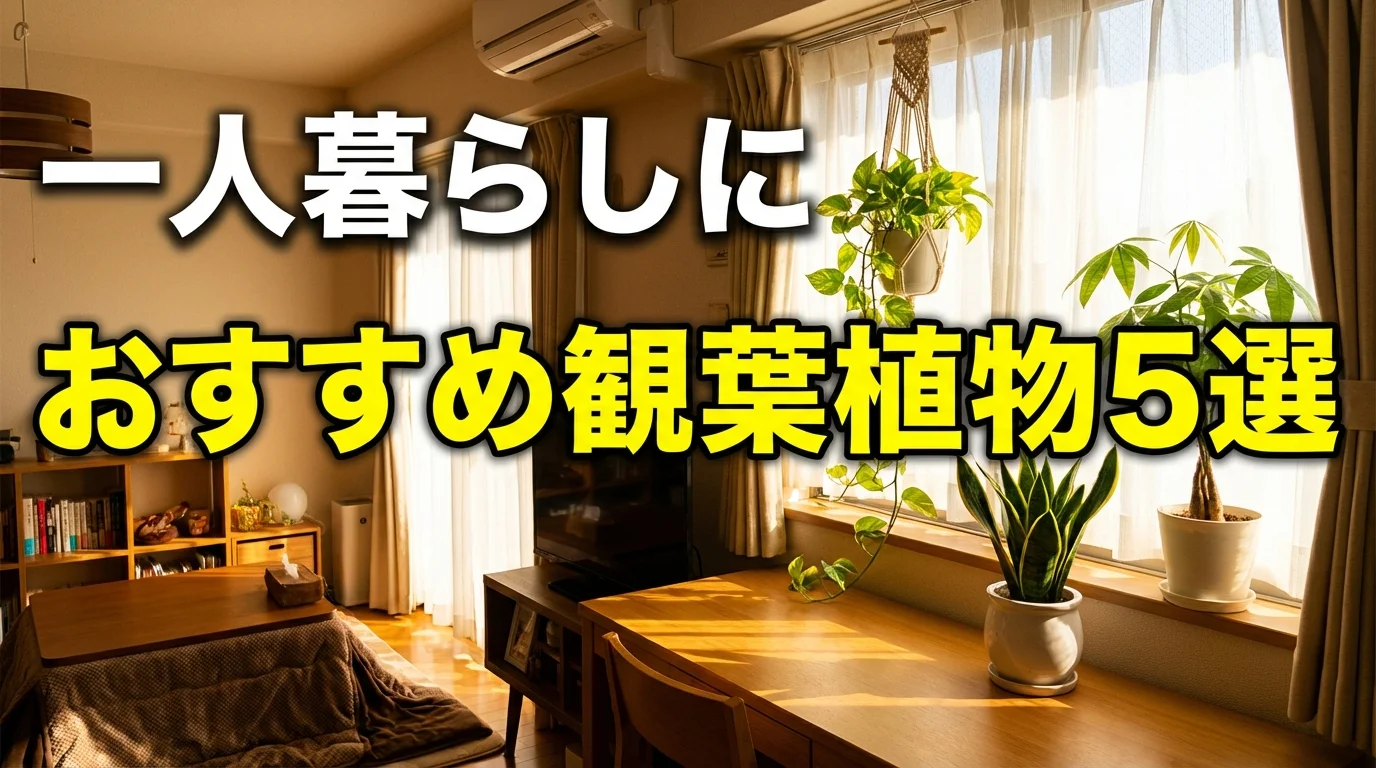 一人暮らしにおすすめの観葉植物5選!初心者でも枯らさない選び方と育て方