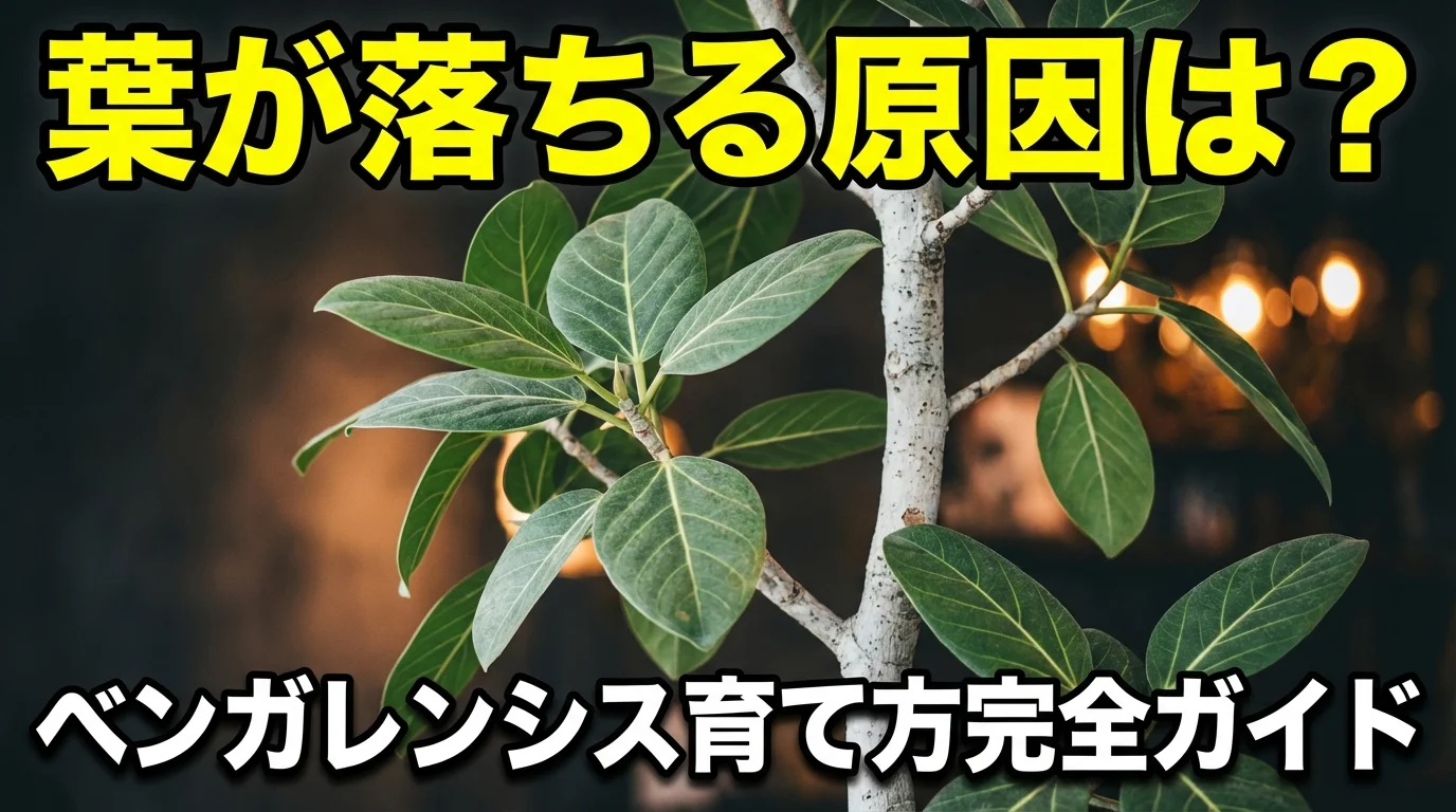 フィカス・ベンガレンシスの育て方完全ガイド|失敗しない5つのコツと植え替え時期