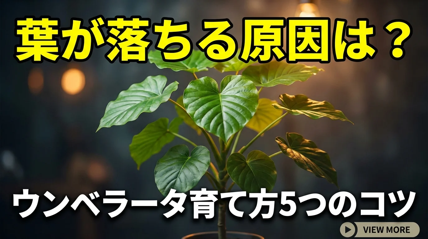フィカス・ウンベラータの育て方｜失敗しない5つのコツと葉が落ちる原因