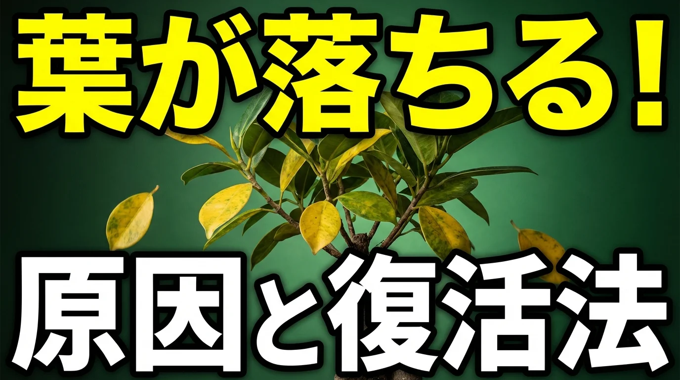 ガジュマルの葉が落ちる原因7つと復活の対処法を症状別に徹底解説
