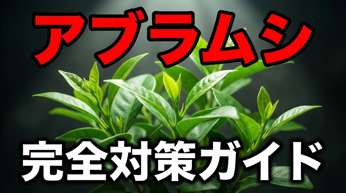観葉植物のアブラムシ対策!発生原因から駆除・予防法まで徹底解説