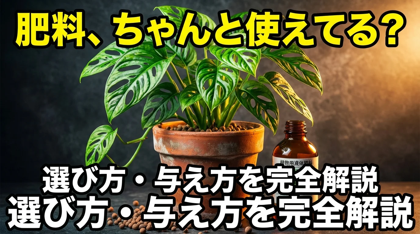 観葉植物の肥料完全ガイド|選び方・与える時期・おすすめを解説