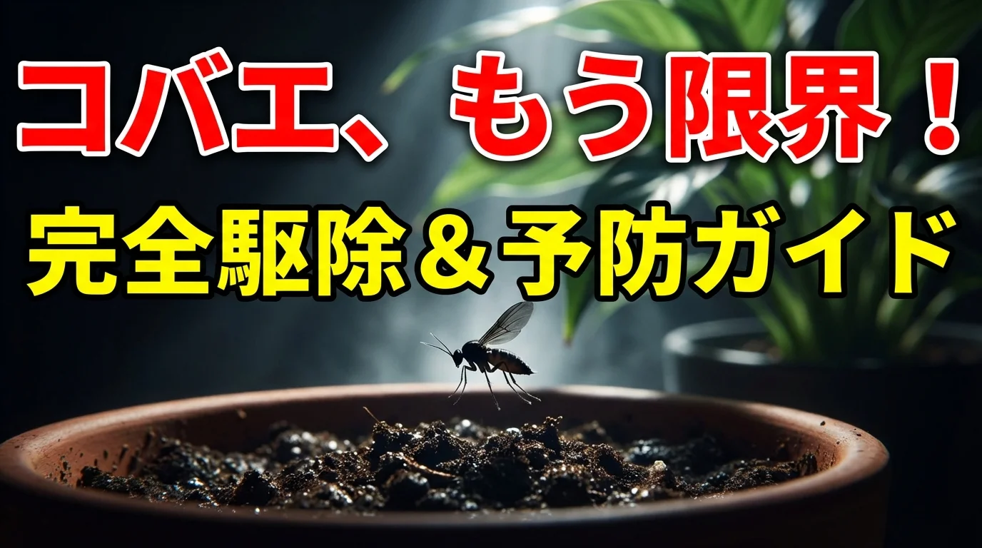 観葉植物のコバエ対策完全ガイド|発生原因と駆除・予防法を徹底解説