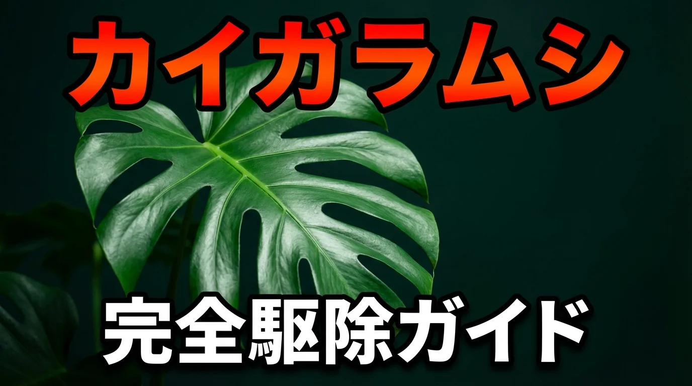 観葉植物のカイガラムシ対策!見つけ方から駆除・予防法まで徹底解説