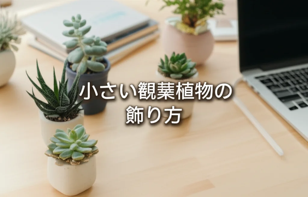 小さい観葉植物おすすめ12選|デスク・棚をおしゃれに飾るコツ