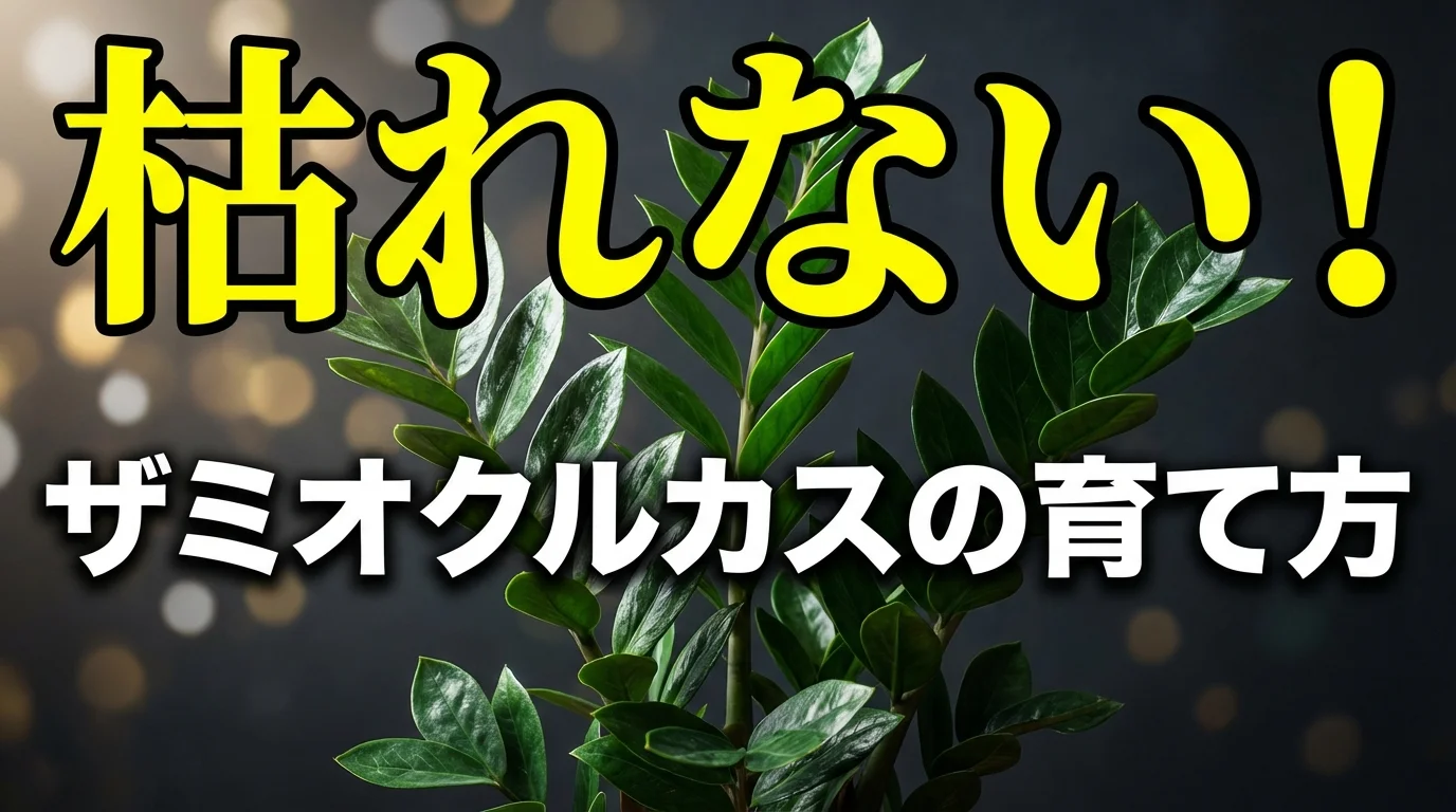 ザミオクルカスの育て方完全ガイド|失敗しない水やり・置き場所のコツ